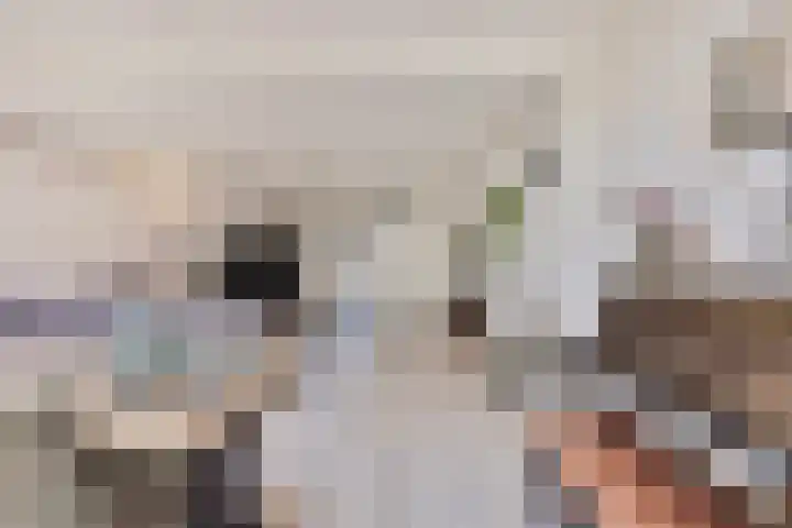 Chopinstraat 6 Schijndel thumbnail 16