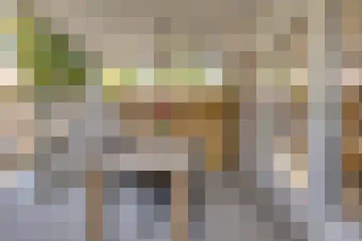Chopinstraat 6 Schijndel thumbnail 30