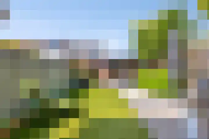 Chopinstraat 6 Schijndel thumbnail 4