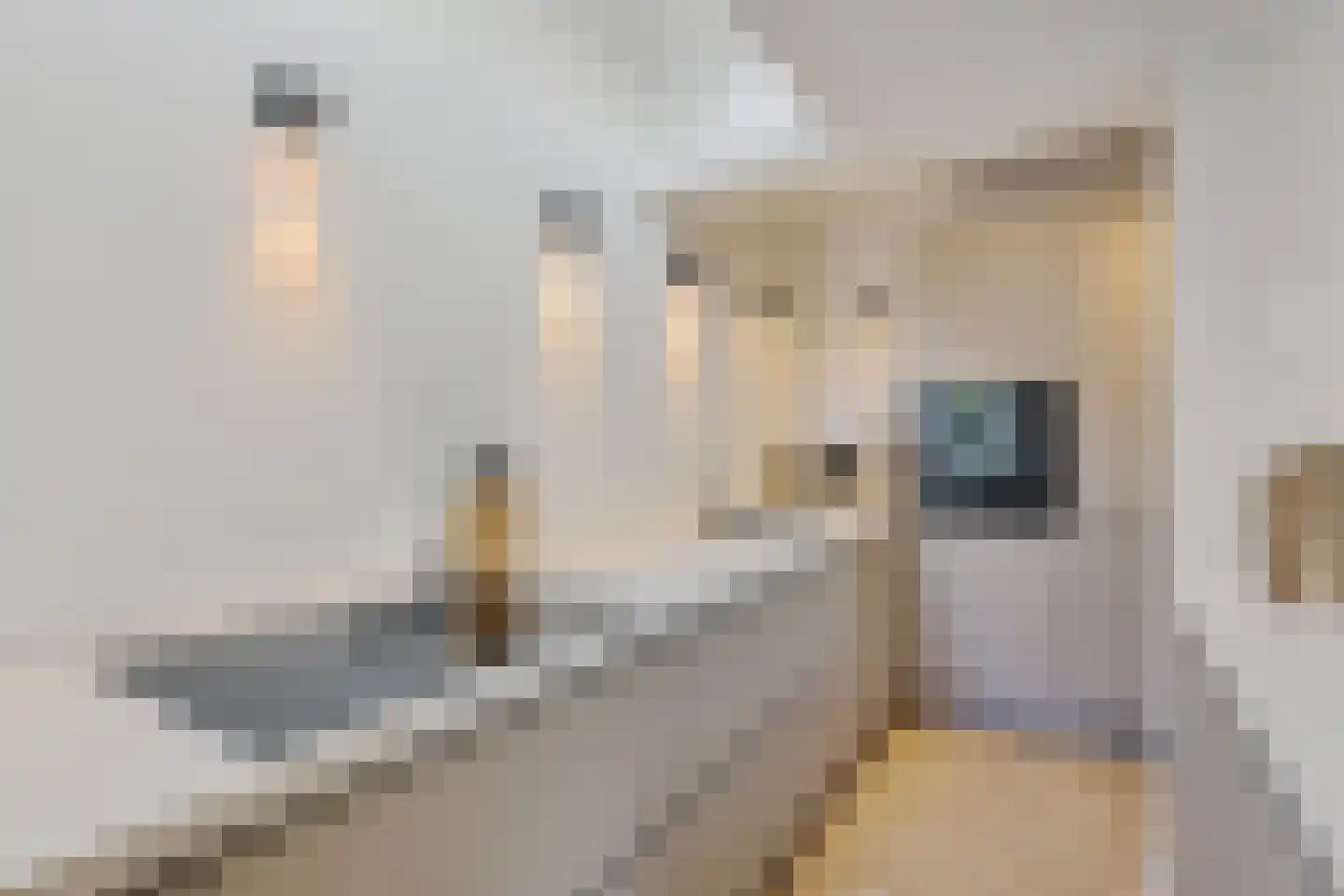Chopinstraat 61 Utrecht thumbnail 16