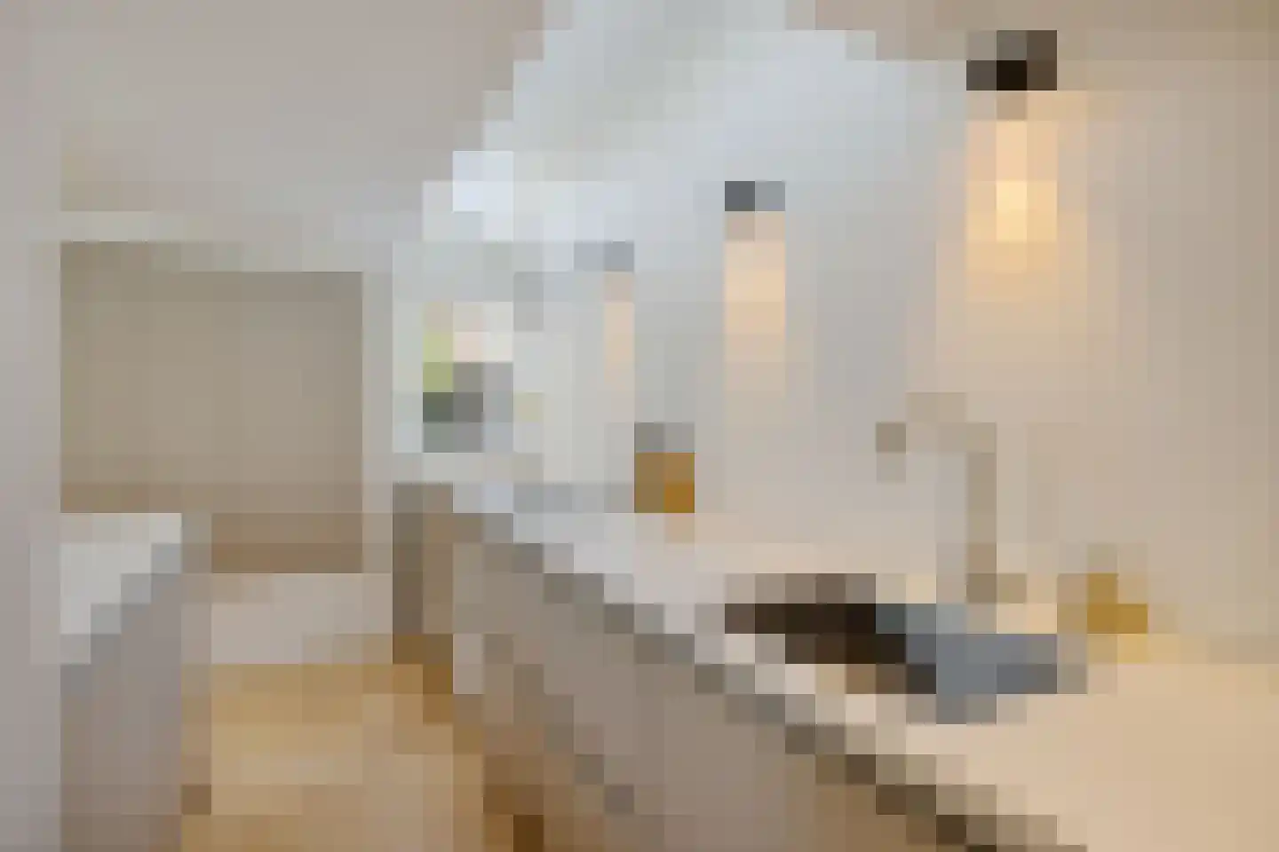 Chopinstraat 61 Utrecht thumbnail 18