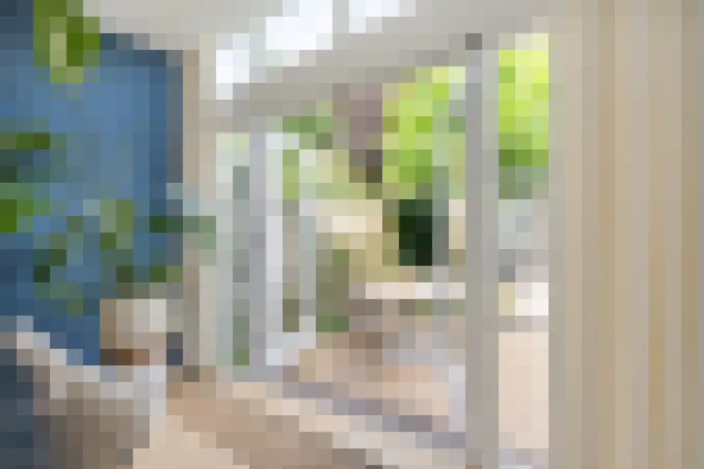 Chopinstraat 61 Utrecht thumbnail 20