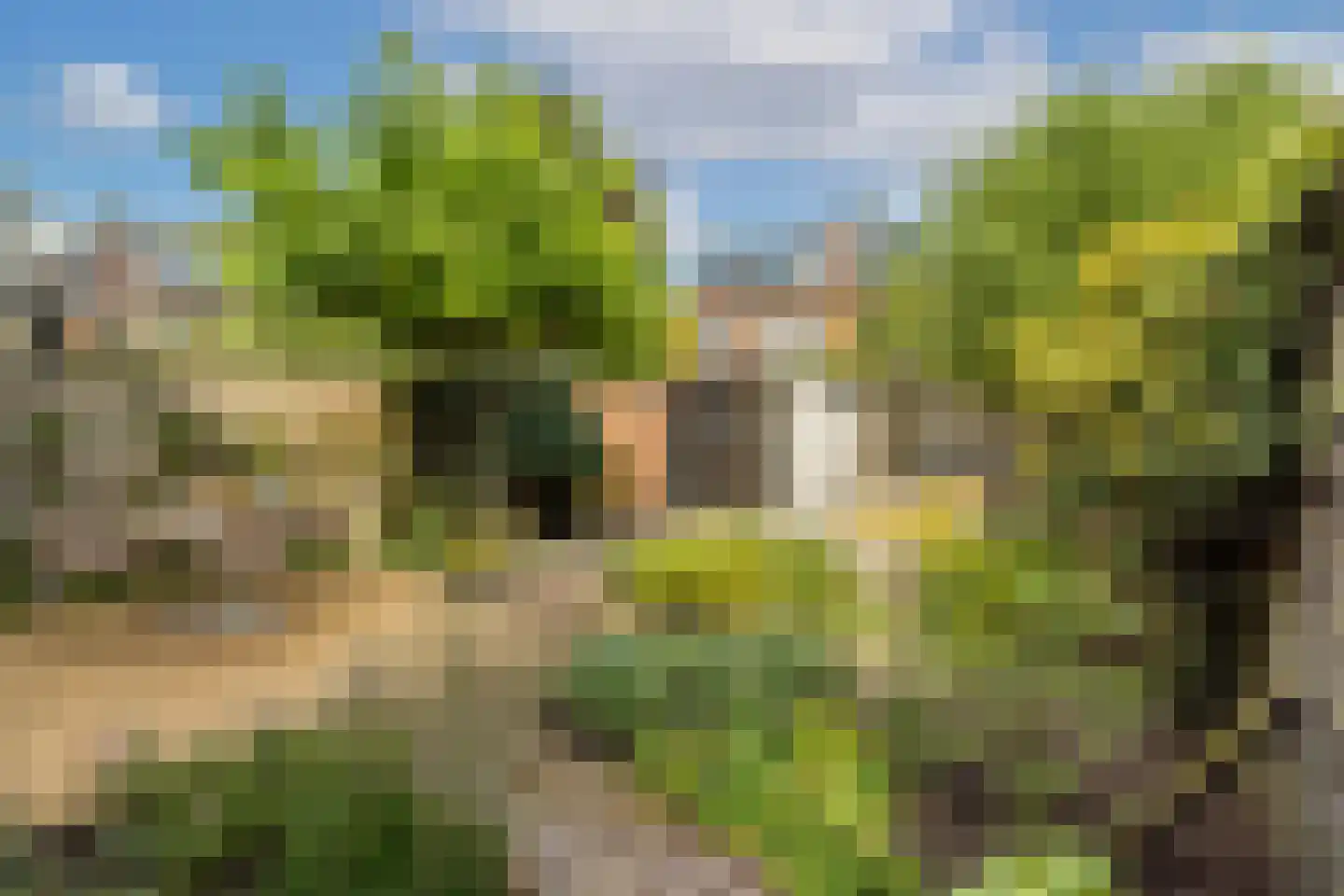 Chopinstraat 61 Utrecht thumbnail 21