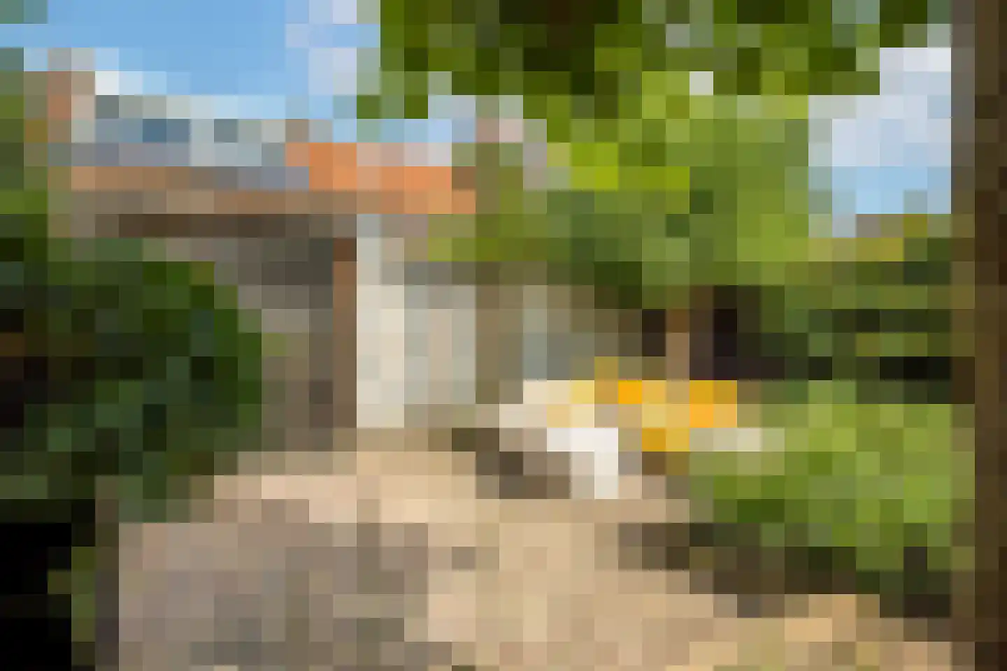 Chopinstraat 61 Utrecht thumbnail 22