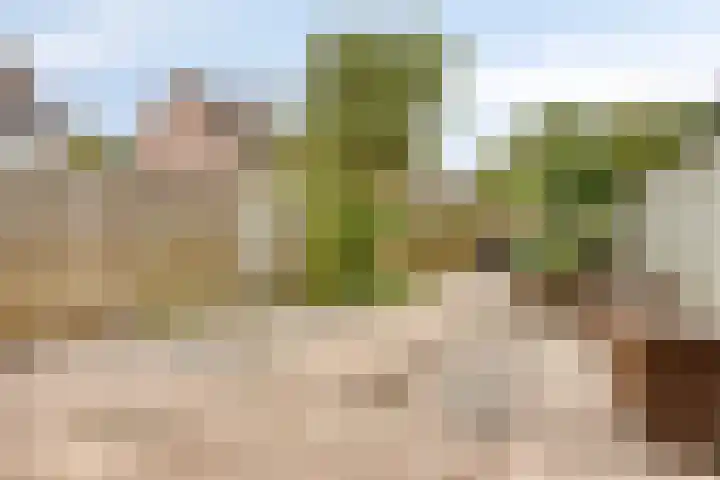 Chopinstraat 63 Schijndel thumbnail 23