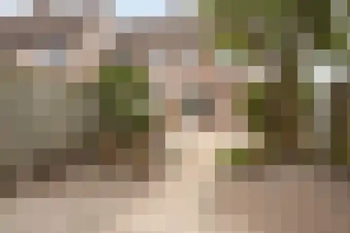 Chopinstraat 63 Schijndel thumbnail 4