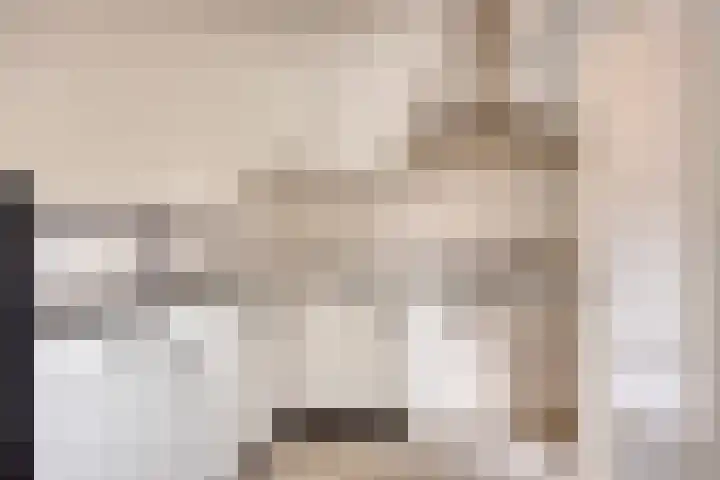 Chopinstraat 63 Schijndel thumbnail 6
