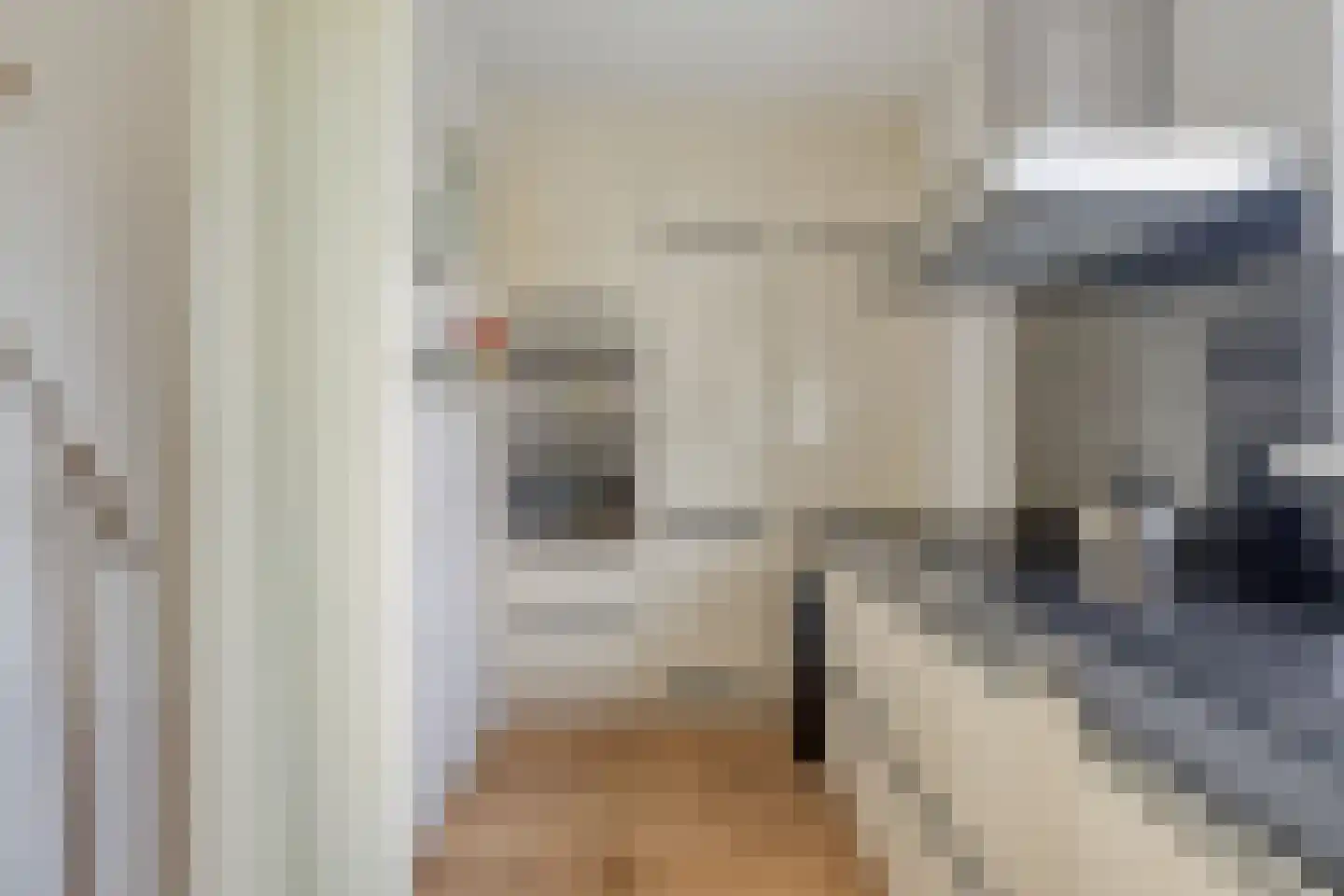 Chopinstraat 67 Lisse thumbnail 11