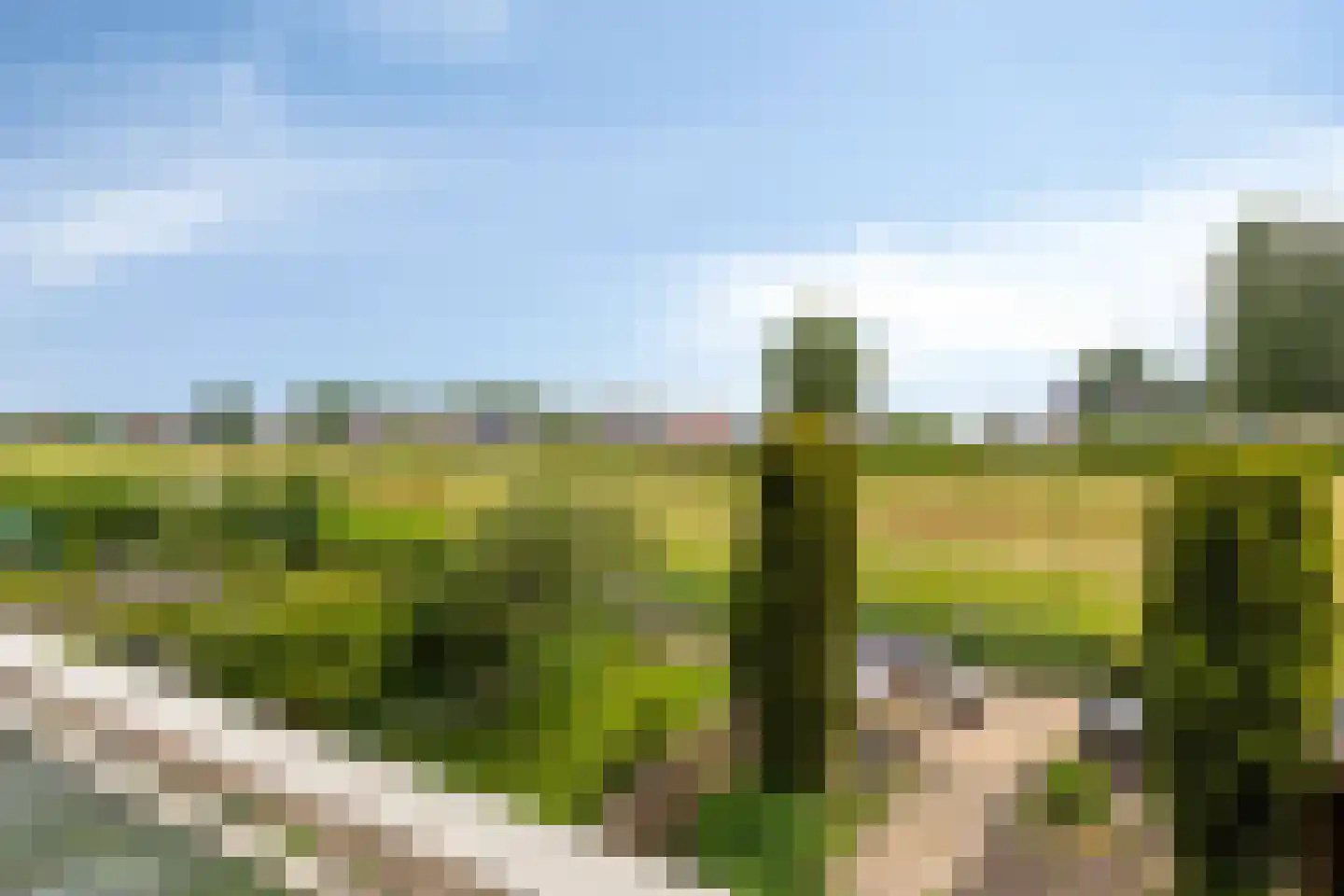 Chopinstraat 67 Lisse thumbnail 14