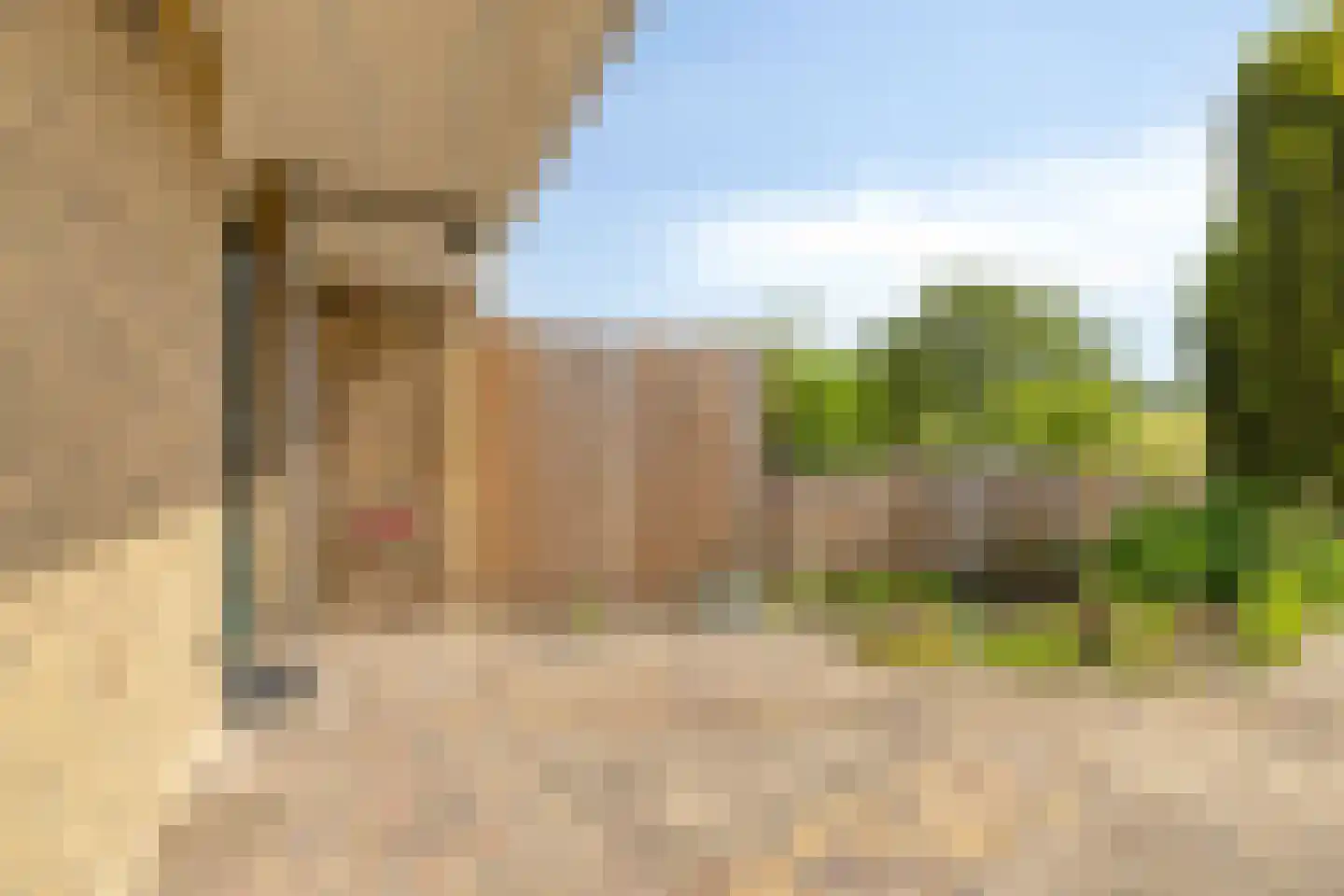 Chopinstraat 67 Lisse thumbnail 28