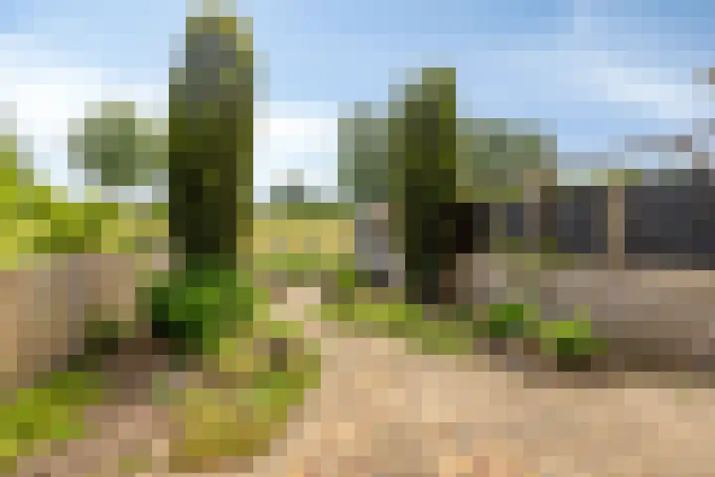 Chopinstraat 67 Lisse thumbnail 29