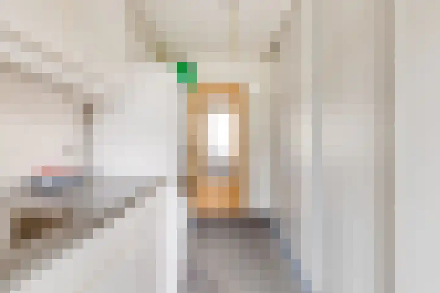Chopinstraat 67 Lisse thumbnail 36