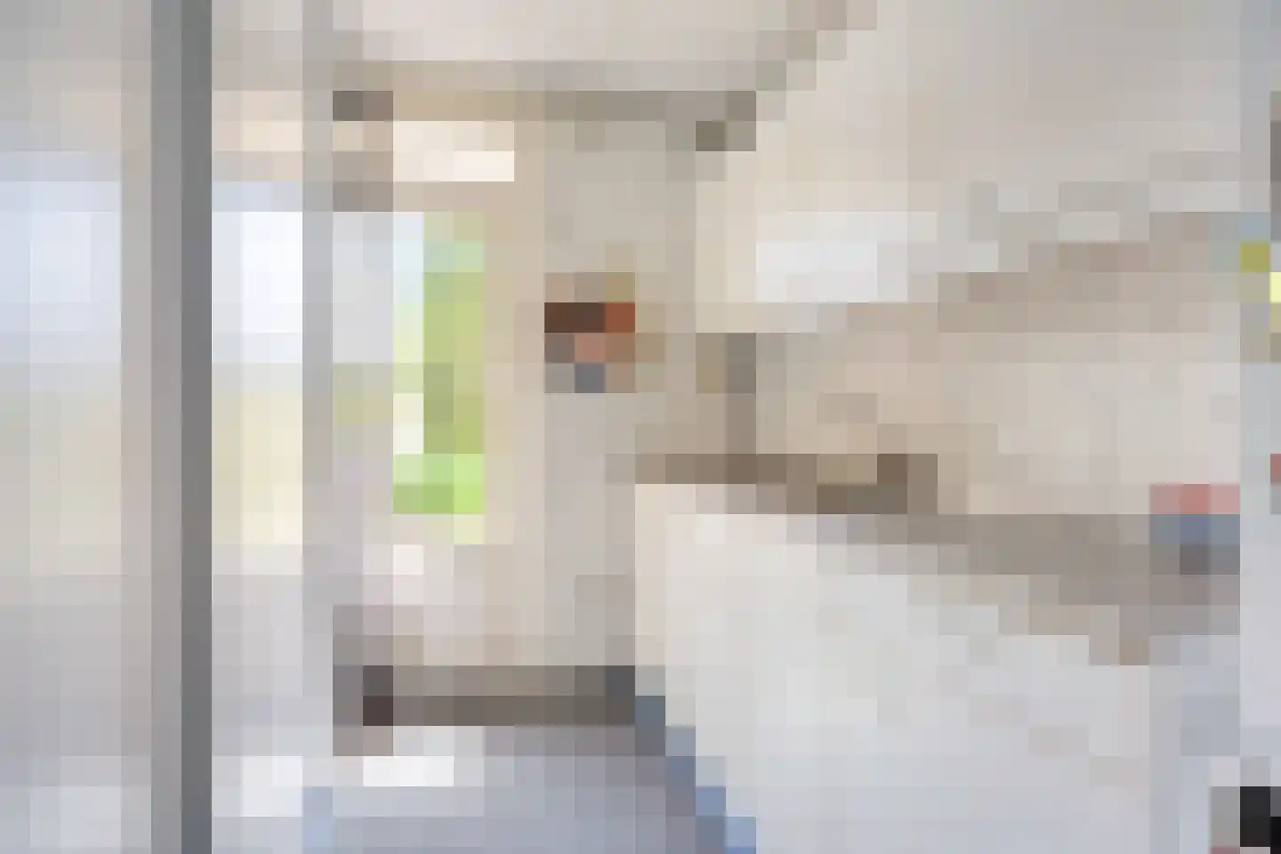 Chopinstraat 67 Lisse thumbnail 37