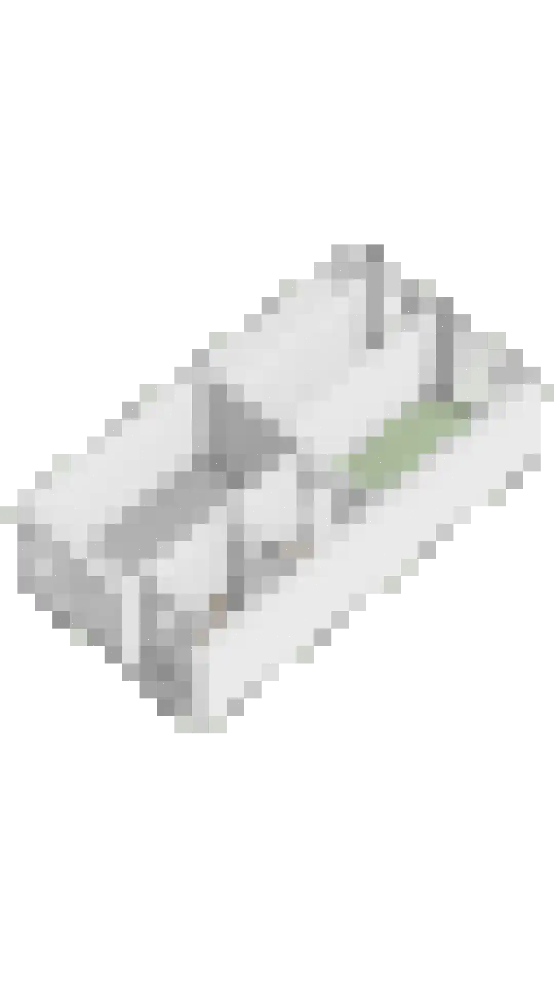 Chopinstraat 67 Lisse thumbnail 46