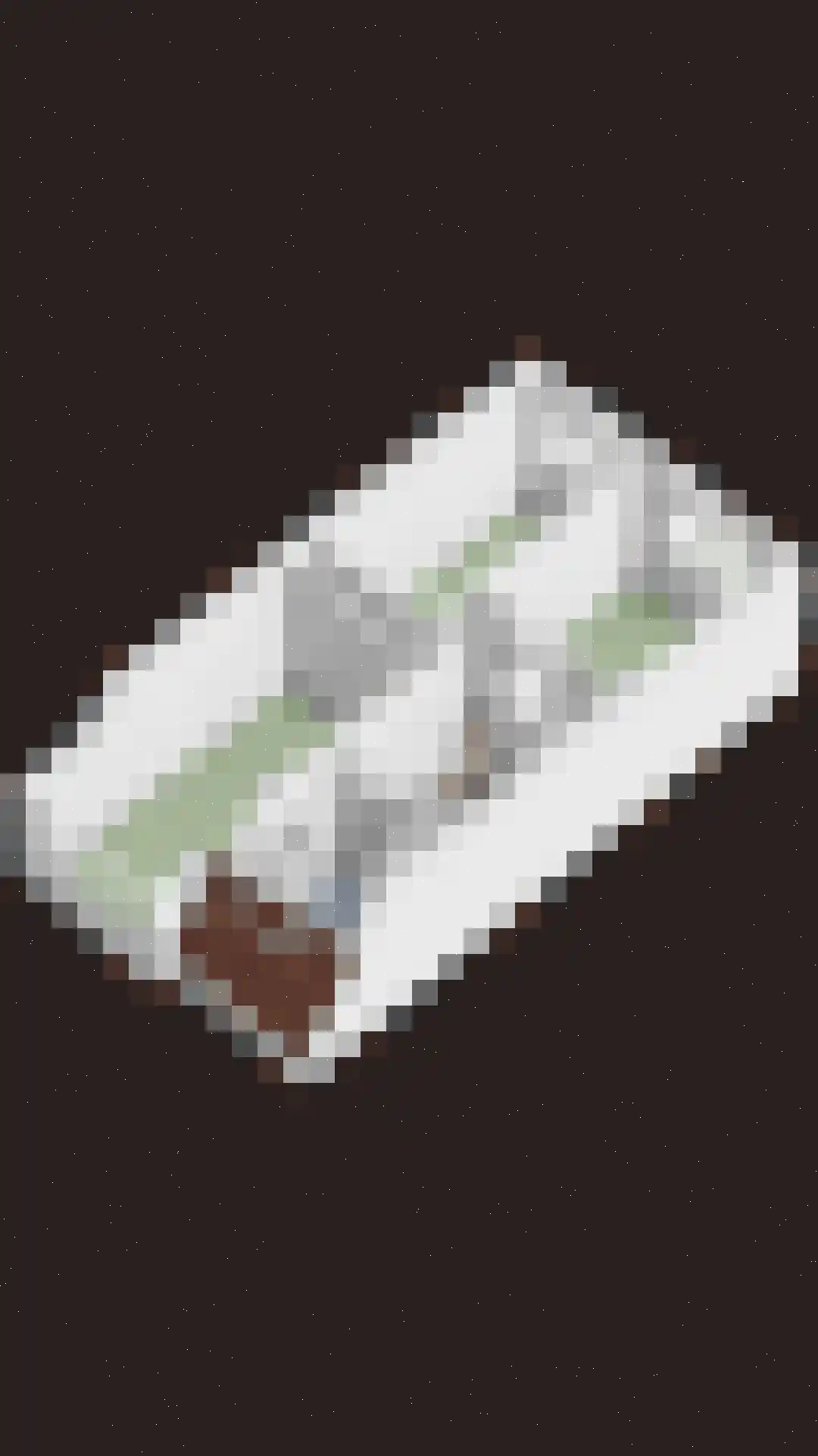 Chopinstraat 67 Lisse thumbnail 48