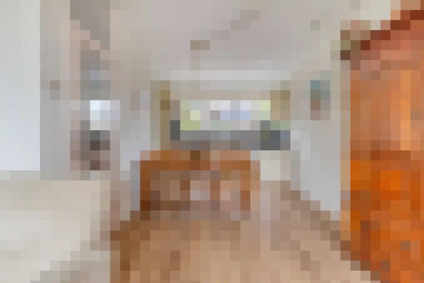 Chopinstraat 67 Lisse thumbnail 8