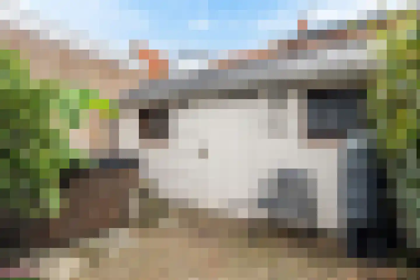 Chopinstraat 7 Leeuwarden thumbnail 43