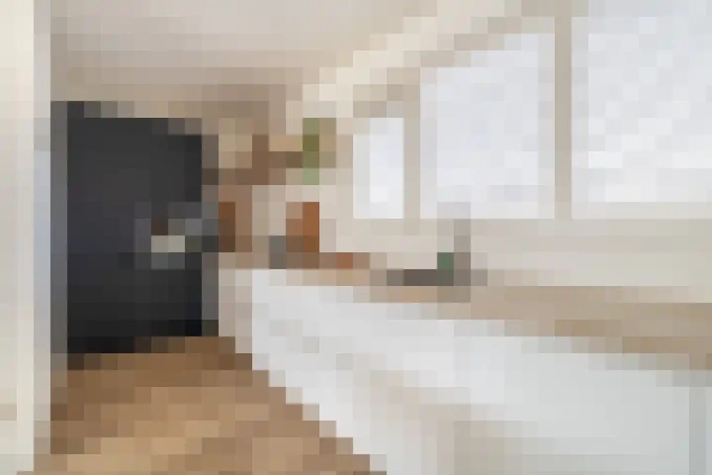 Chopinstraat 7 Lisse thumbnail 10