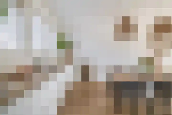 Chopinstraat 7 Lisse thumbnail 11