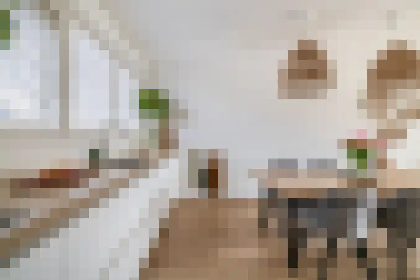 Chopinstraat 7 Lisse thumbnail 11