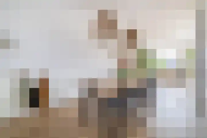 Chopinstraat 7 Lisse thumbnail 13