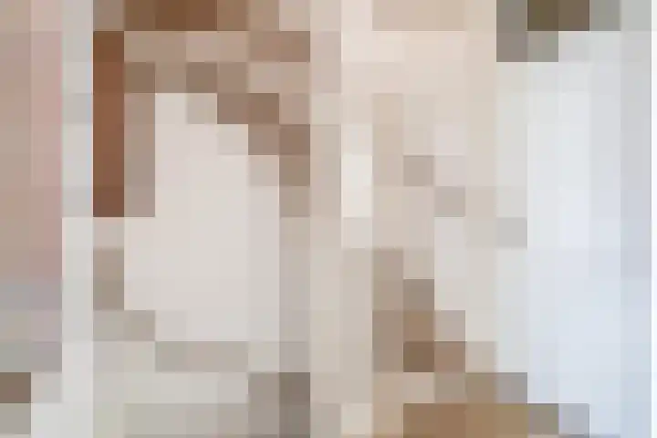 Chopinstraat 7 Lisse thumbnail 18