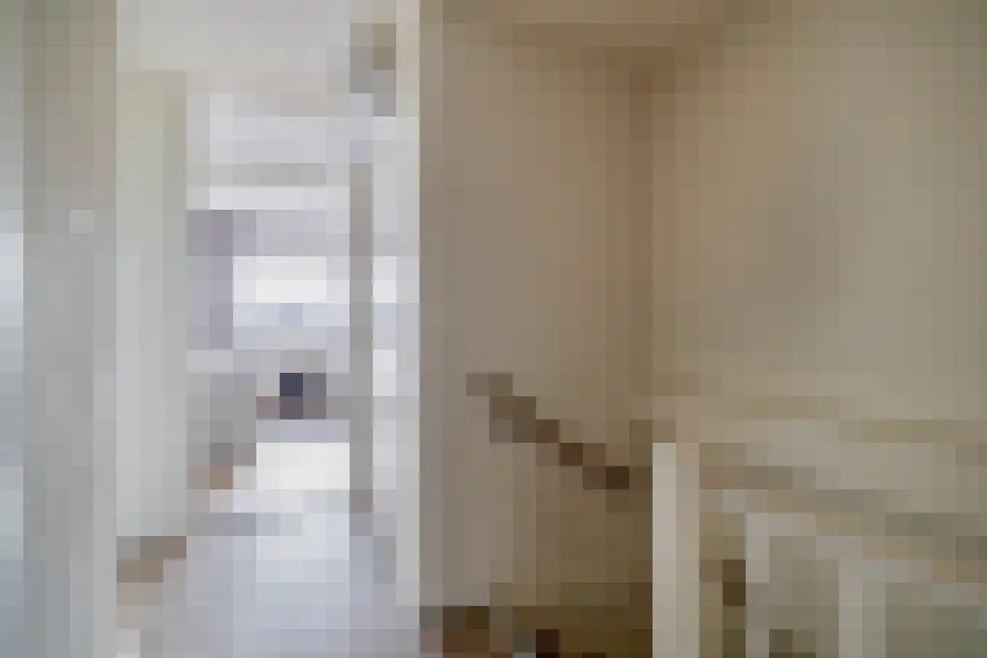 Chopinstraat 7 Lisse thumbnail 26