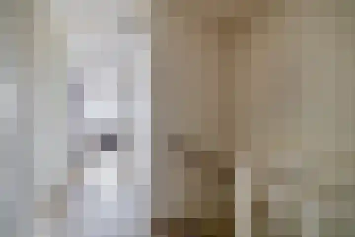 Chopinstraat 7 Lisse thumbnail 26