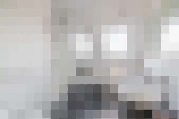 Chopinstraat 7 Lisse thumbnail 27