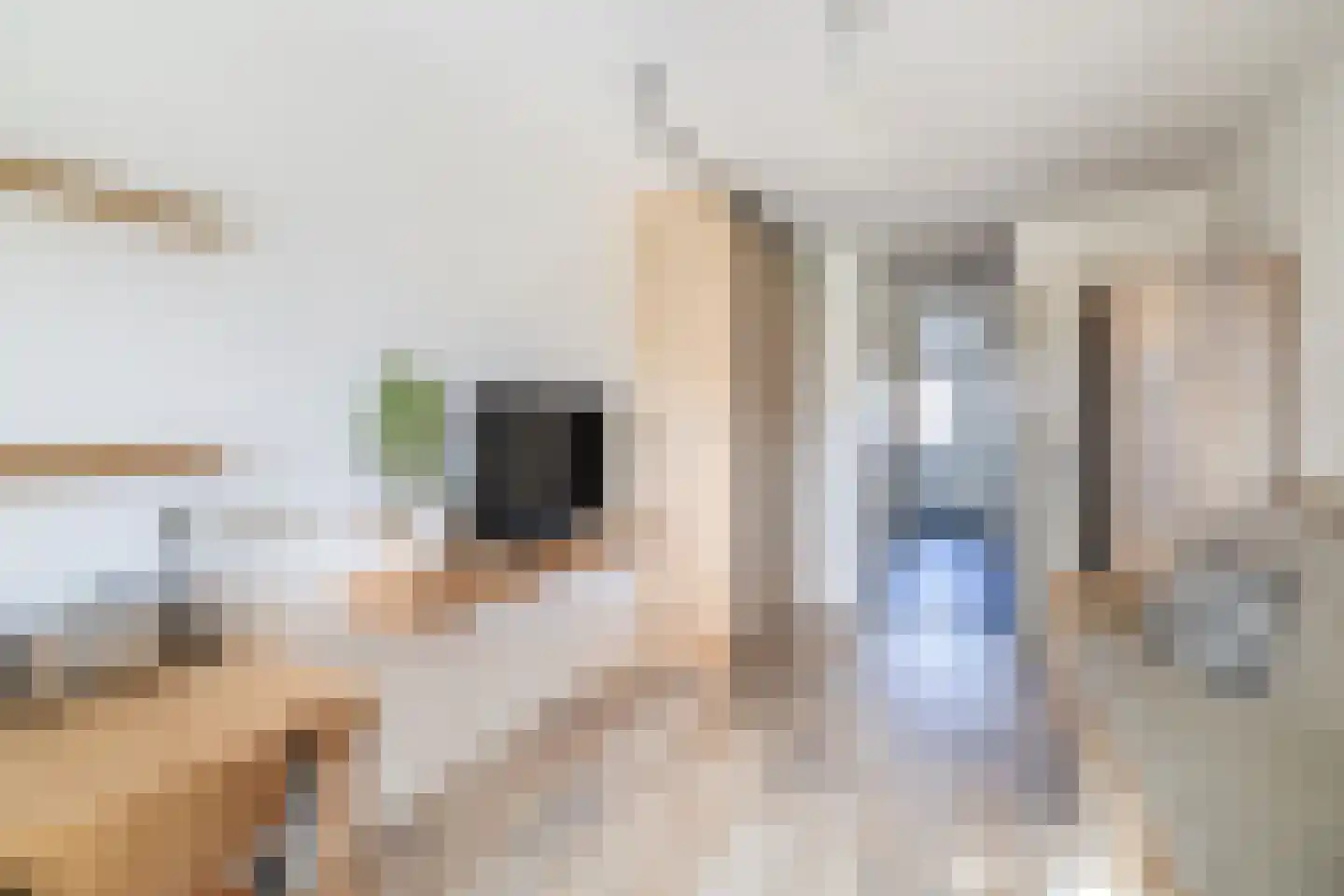 Chopinstraat 7 Lisse thumbnail 32