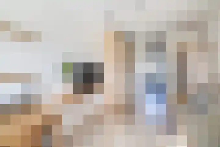 Chopinstraat 7 Lisse thumbnail 32