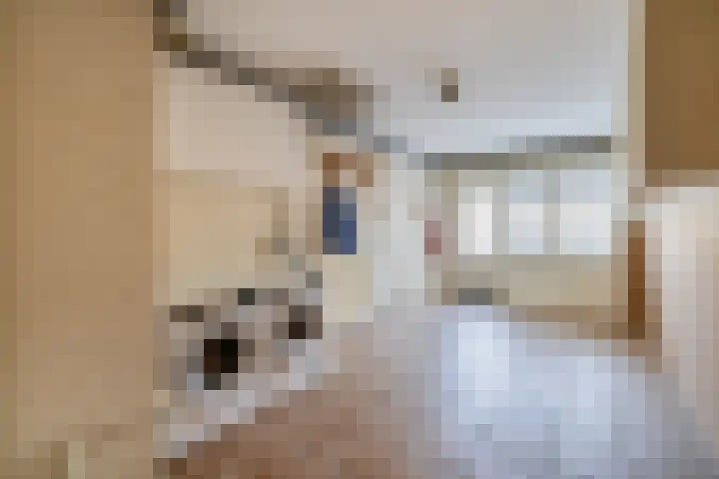 Chopinstraat 7 Lisse thumbnail 33