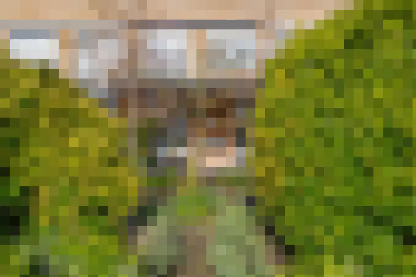 Chopinstraat 7 Lisse thumbnail 37