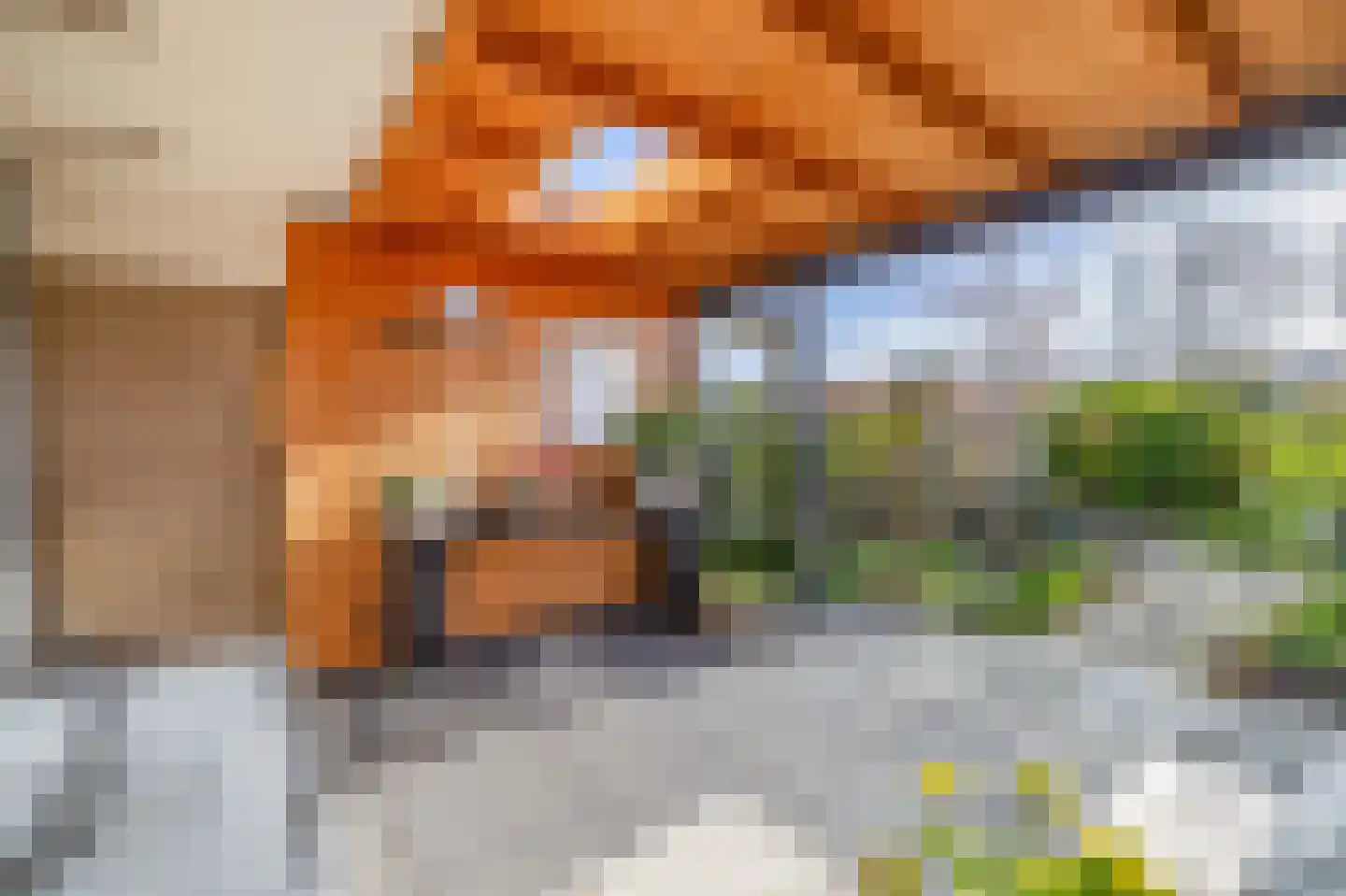 Chopinstraat 7 Lisse thumbnail 39