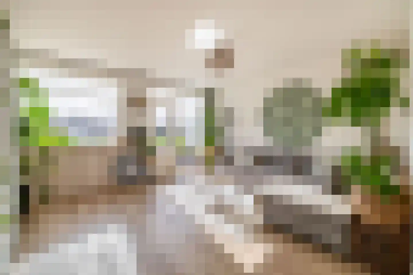 Chopinstraat 7 Lisse thumbnail 4