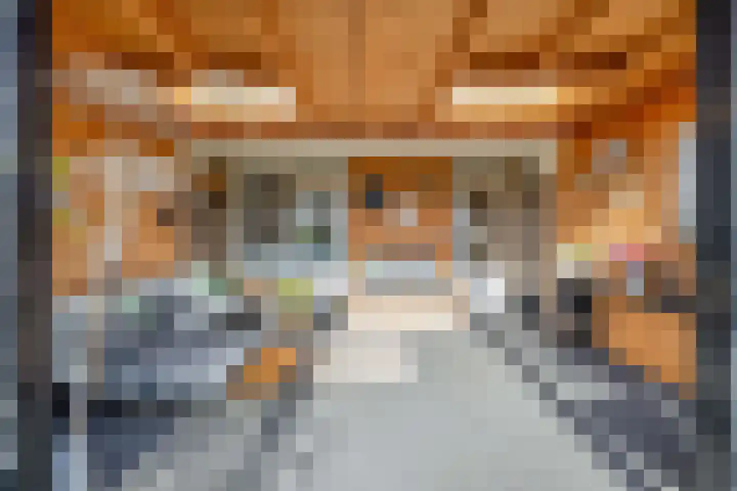 Chopinstraat 7 Lisse thumbnail 41