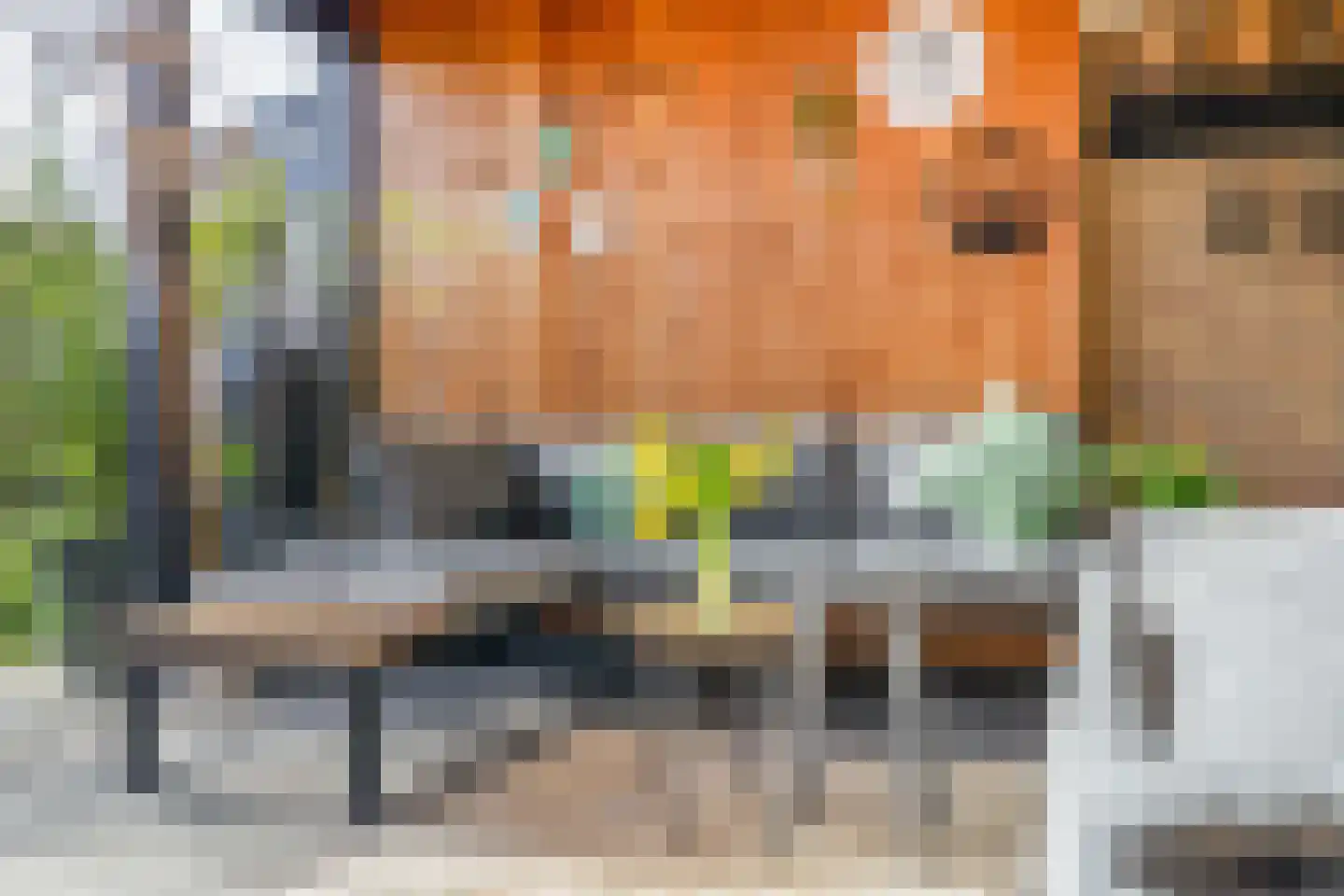 Chopinstraat 7 Lisse thumbnail 42