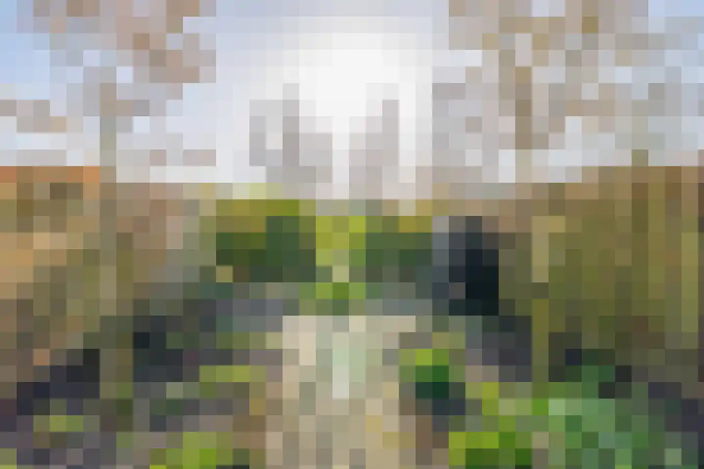 Chopinstraat 7 Lisse thumbnail 44