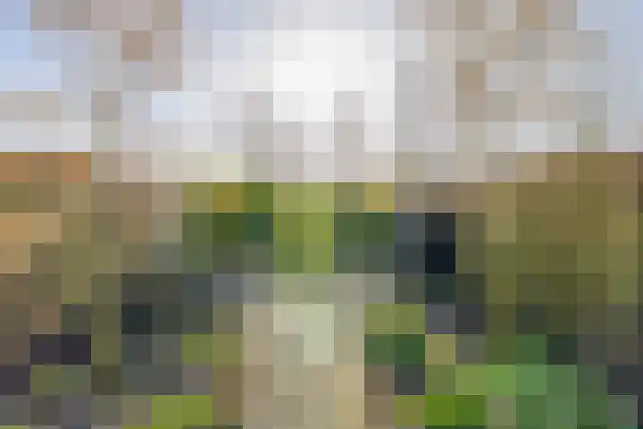 Chopinstraat 7 Lisse thumbnail 44