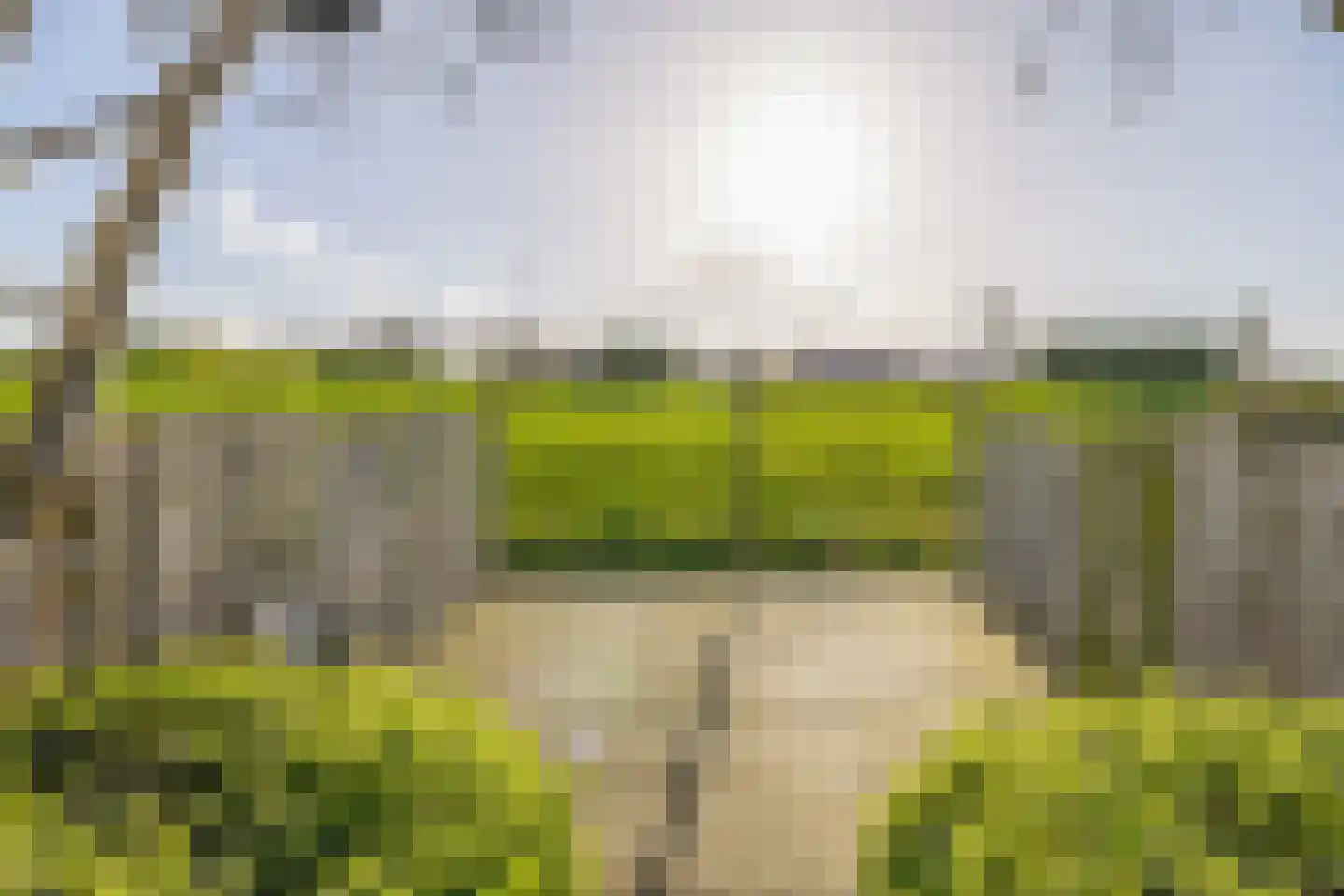 Chopinstraat 7 Lisse thumbnail 45