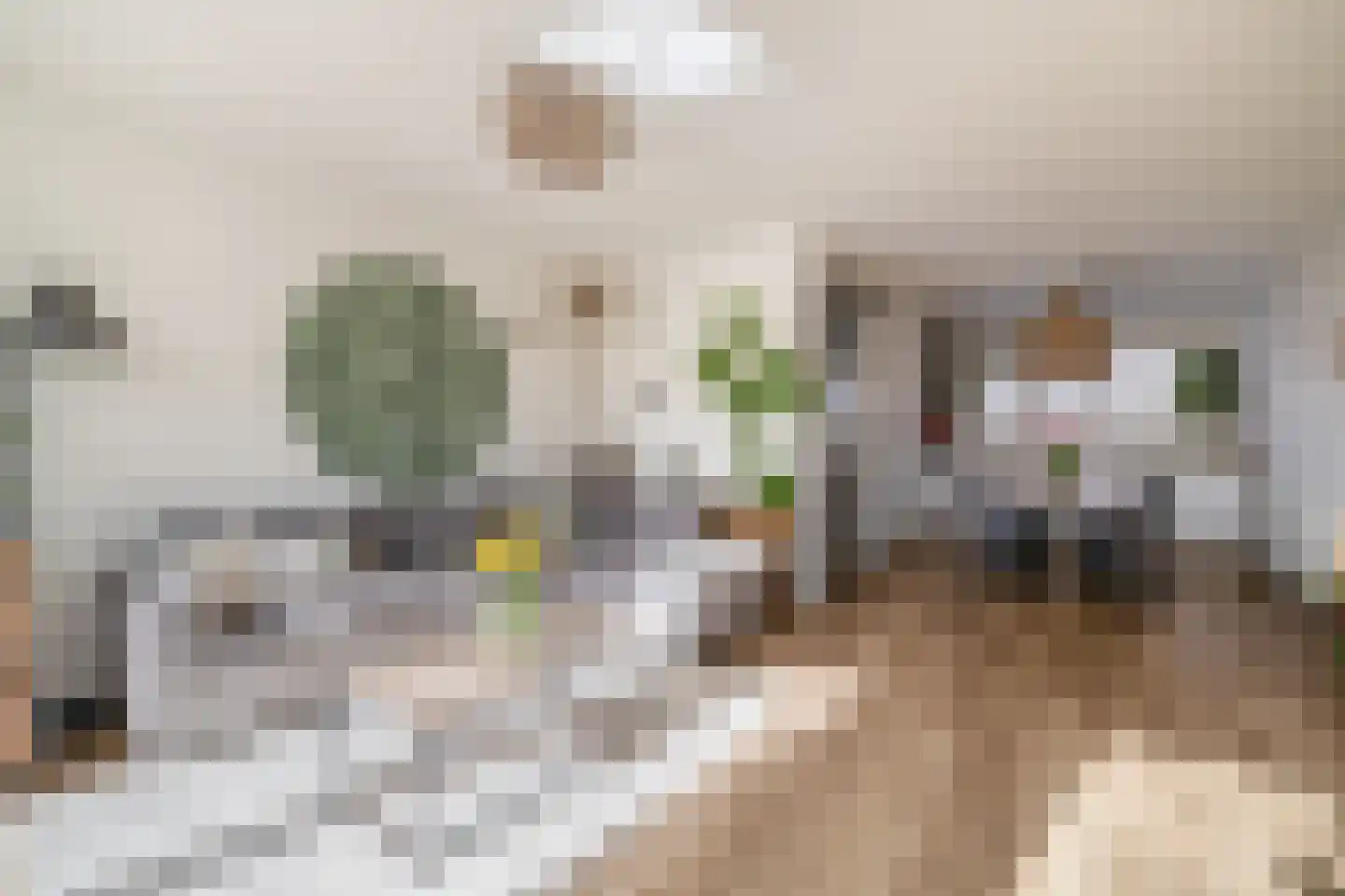 Chopinstraat 7 Lisse thumbnail 5