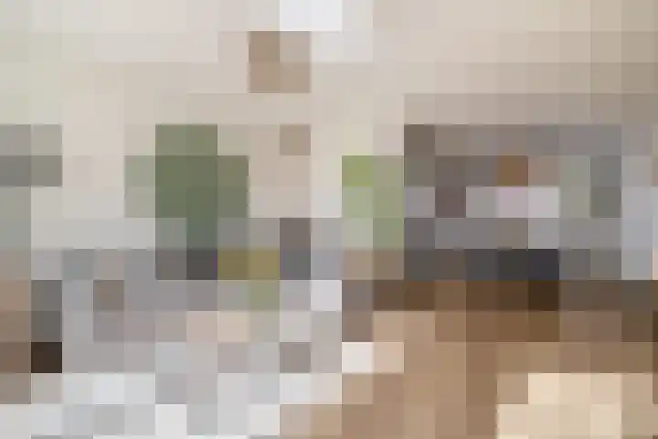 Chopinstraat 7 Lisse thumbnail 5