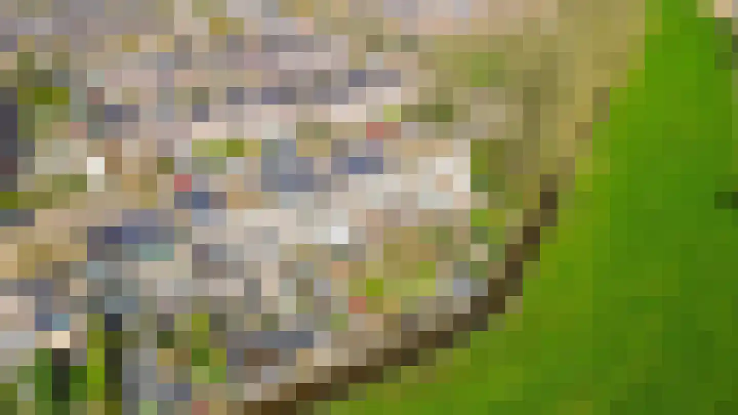 Chopinstraat 7 Lisse thumbnail 55