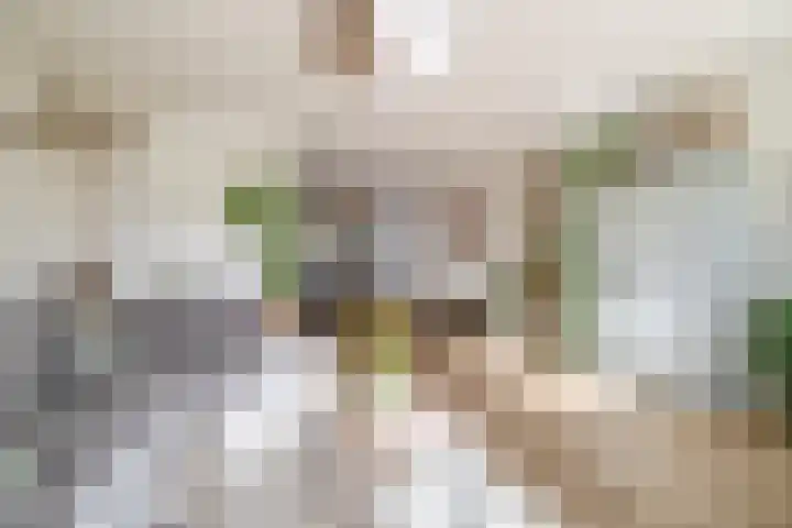 Chopinstraat 7 Lisse thumbnail 6