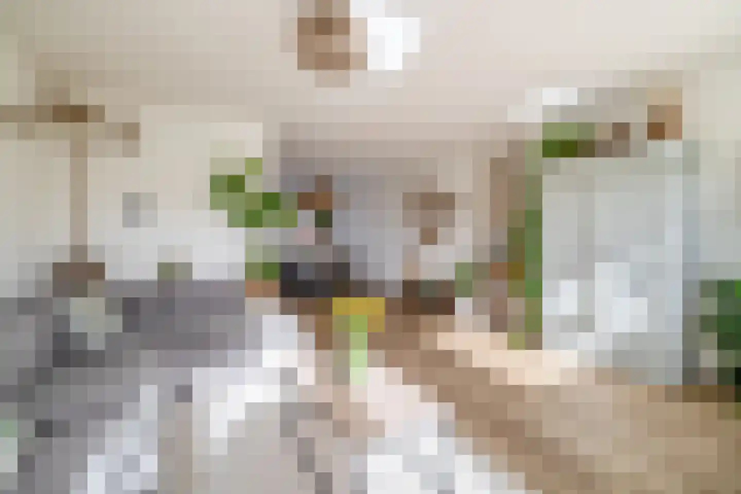 Chopinstraat 7 Lisse thumbnail 6