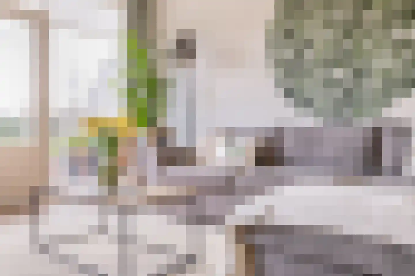 Chopinstraat 7 Lisse thumbnail 7