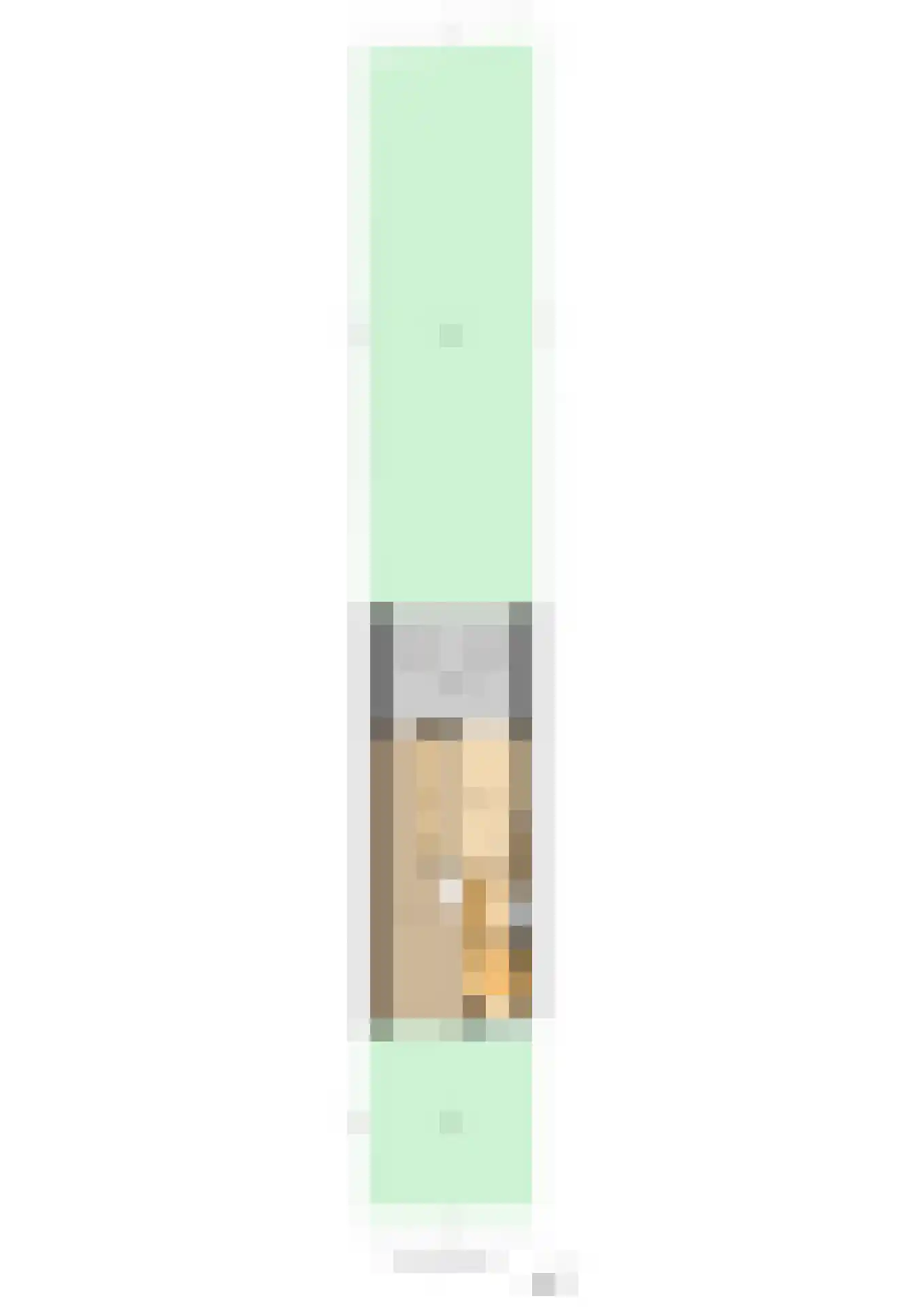 Chopinstraat 7 Lisse thumbnail 75