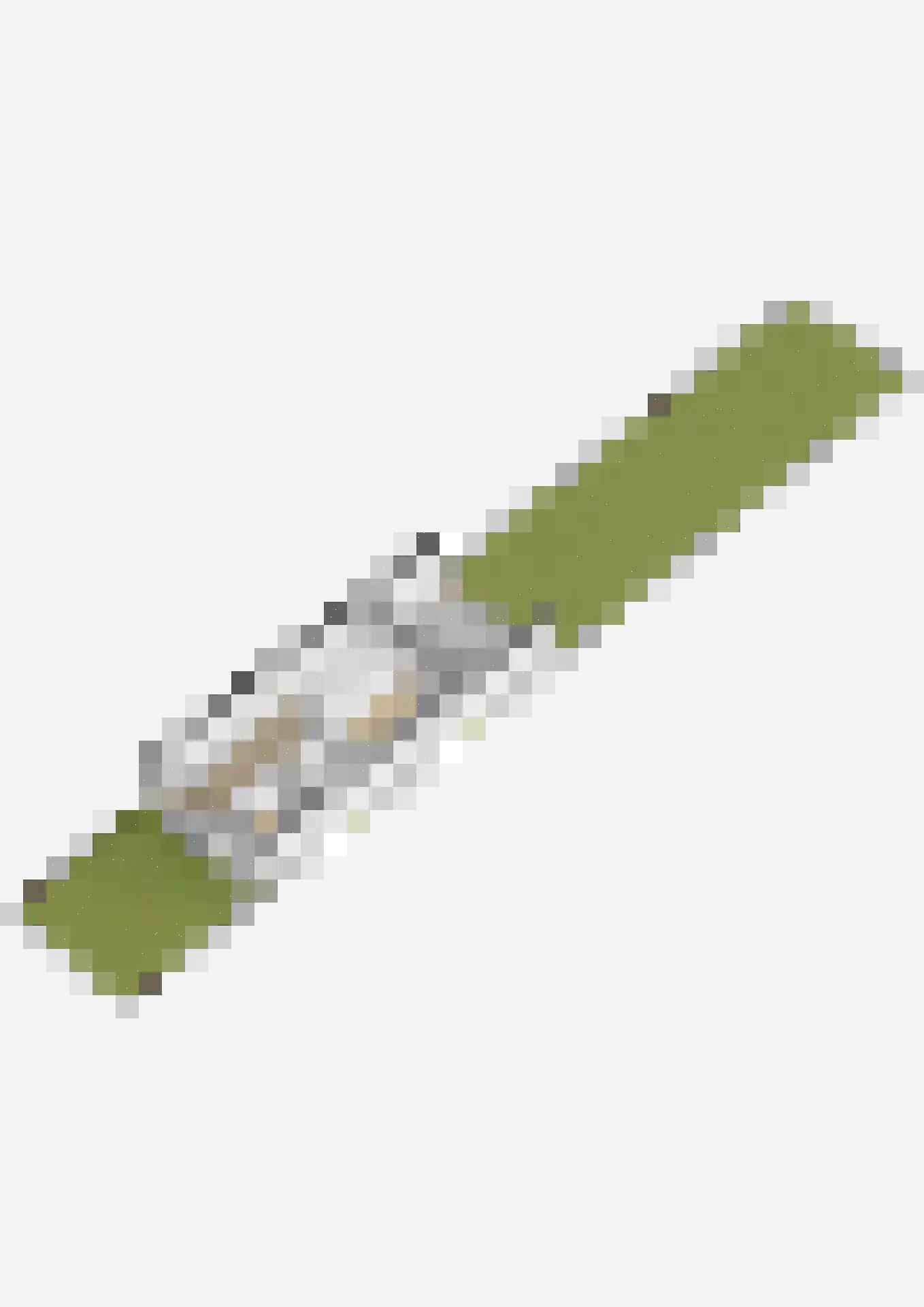 Chopinstraat 7 Lisse thumbnail 76