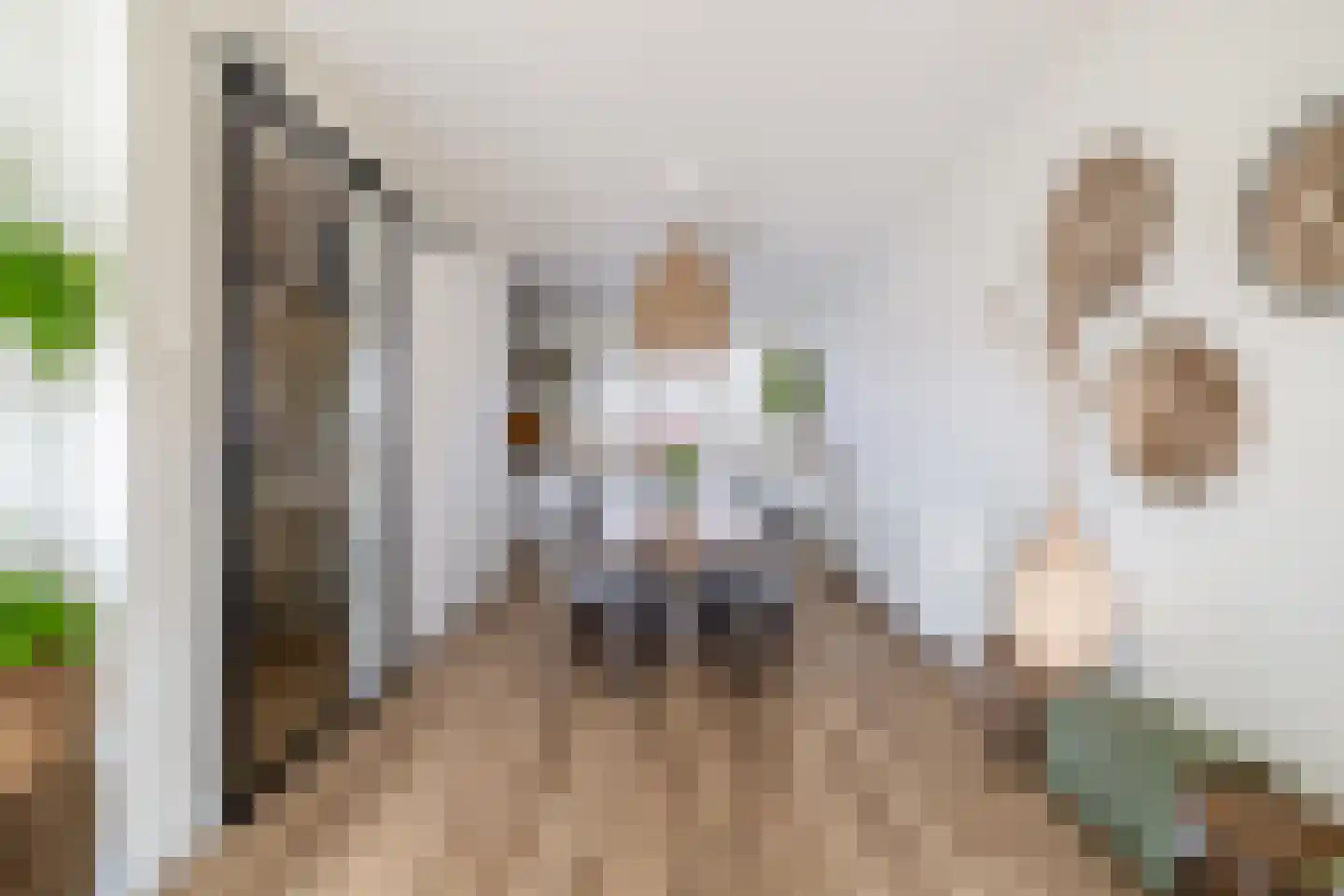 Chopinstraat 7 Lisse thumbnail 8