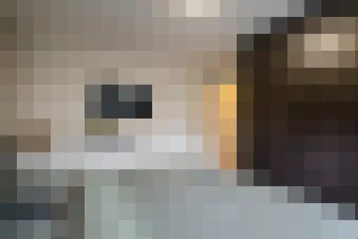 Chopinstraat 7 Losser thumbnail 18
